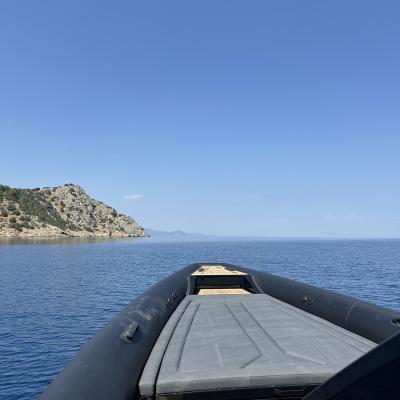 Img 0942